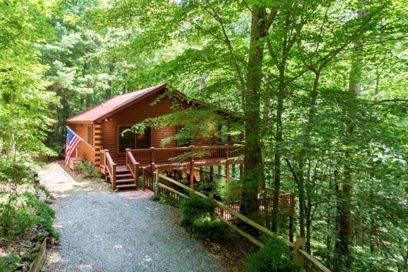 Mountain Spirit Cabin - Fireplace And Hot Tub Villa Blue Ridge Exterior foto